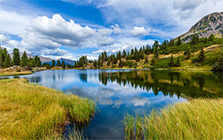 ?陽(yáng)江市建洋環(huán)?？萍加邢薰疚廴疚锾幹梅桨?>
								</div>
								<div   id=